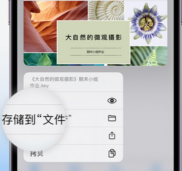 响水apple维修中心分享iPhone文件应用中存储和找到下载文件