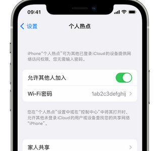 响水apple服务站点分享iPhone上个人热点丢失了怎么办 