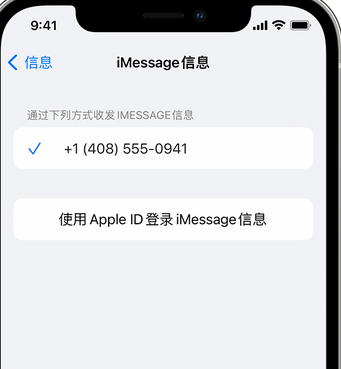 响水apple维修iPhone上无法正常发送iMessage信息 