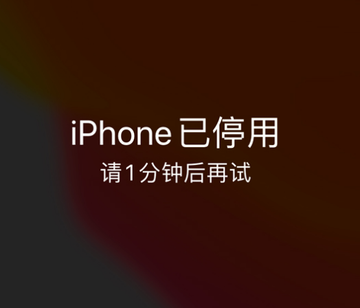 响水苹果手机维修分享:iPhone 显示“不可用”或“已停用”怎么办？还能保留数据吗？ 