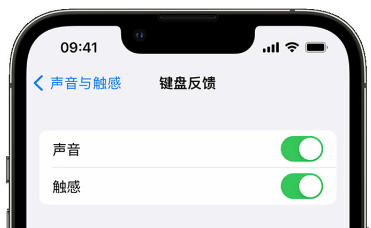 响水苹果手机维修分享iPhone 14触感键盘使用方法 