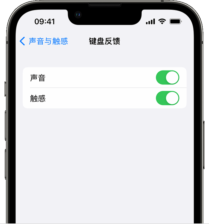 响水苹果14维修店分享如何在 iPhone 14 机型中使用触感键盘 