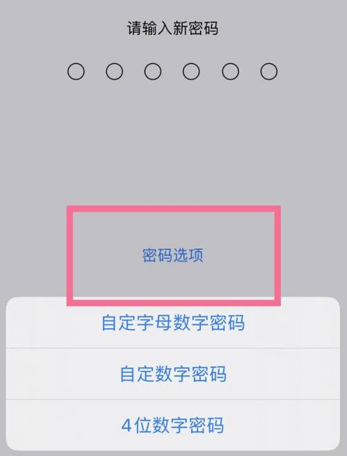 响水苹果14维修分享iPhone 14plus设置密码的方法 