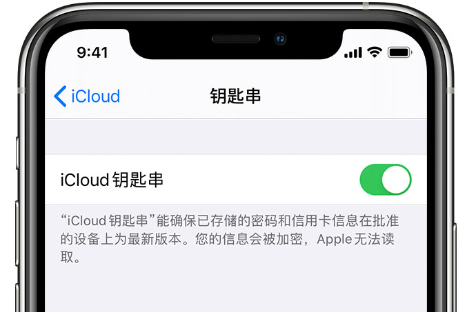 响水苹果手机维修分享在 iPhone 上开启 iCloud 钥匙串之后会储存哪些信息 