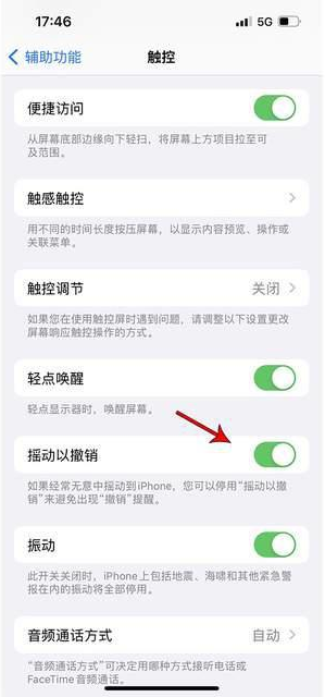 响水苹果手机维修分享iPhone手机如何设置摇一摇删除文字 