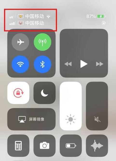 响水苹果手机维修分享为 iPhone 12 双卡设置标签 