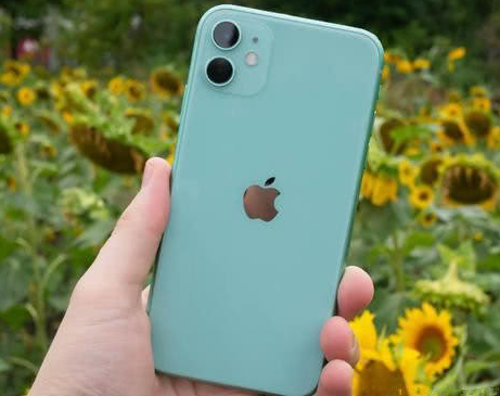 响水苹果维修点分享iPhone 11锁屏密码认知与使用科普 